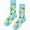 Pineapple Paradise Sock
